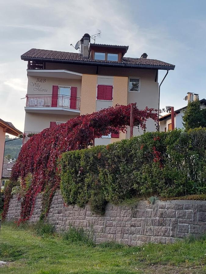 Bed & Breakfast Villa Maria Cavalese Extérieur photo